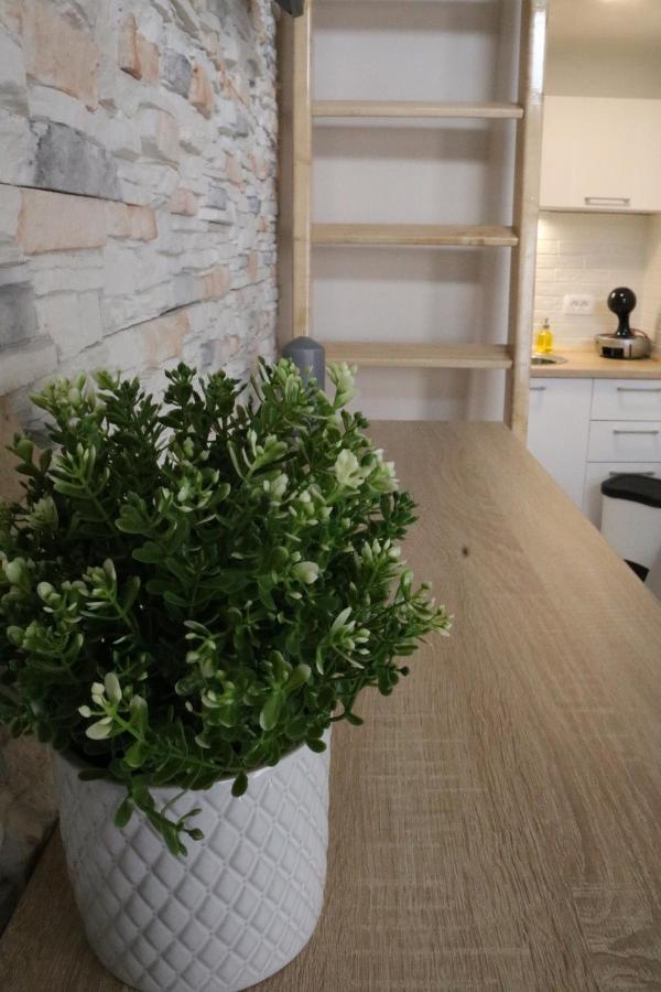 Studio Apartman Chiara Zagreb Extérieur photo
